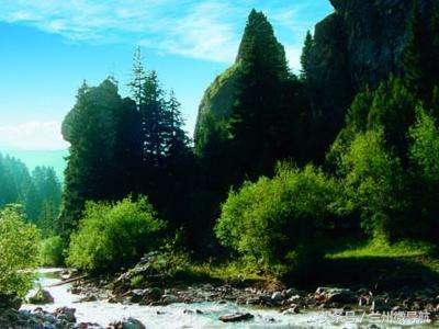 夏日旅游勝地——吐魯溝國家4A級森林公園