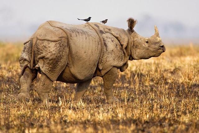 世界各大洲最出名的自然保護區(qū)