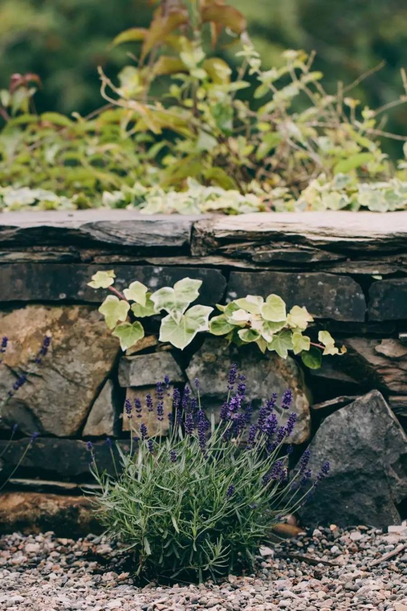 別讓大量興起的旅游建筑破壞了鄉(xiāng)村景觀