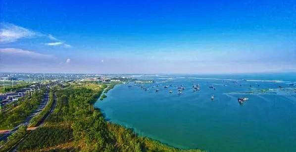 合肥濱湖國家森林公園4A景區對市民開放