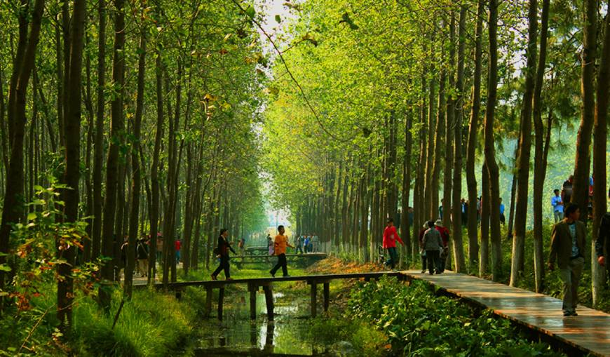 合肥濱湖國家森林公園4A景區對市民開放
