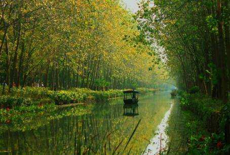 合肥濱湖國家森林公園4A景區對市民開放