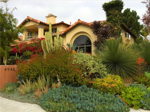 精美絕倫的多肉植物園林景觀美不勝收！