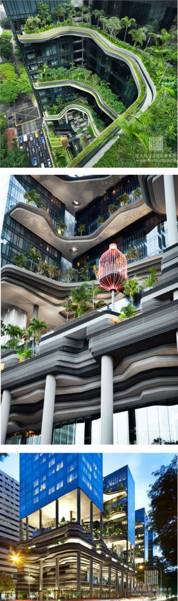 全球28個經(jīng)典的垂直綠化、屋頂花園