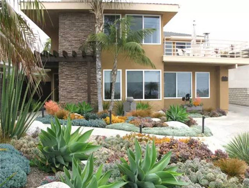 精美絕倫的多肉植物園林景觀美不勝收！