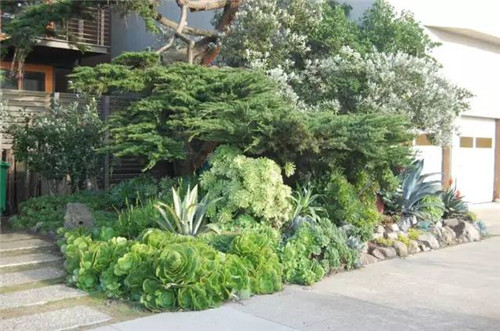 精美絕倫的多肉植物園林景觀美不勝收！