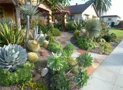 精美絕倫的多肉植物園林景觀美不勝收！