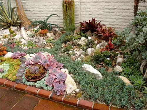 精美絕倫的多肉植物園林景觀美不勝收！