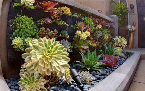 精美絕倫的多肉植物園林景觀美不勝收！
