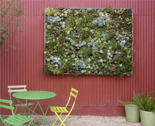 精美絕倫的多肉植物園林景觀美不勝收！