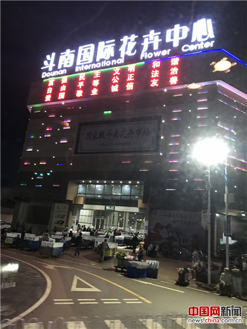 走進云南昆明 探訪亞洲最大的花卉交易市場斗南花市