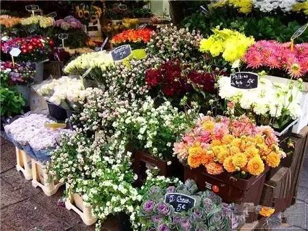 DIY插花把生活點(diǎn)綴得那么美