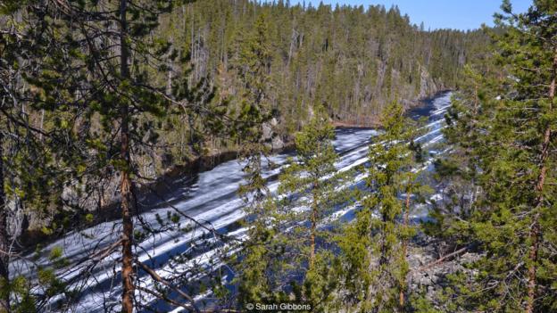 在芬蘭的國家公園 體驗人與自然共處之道