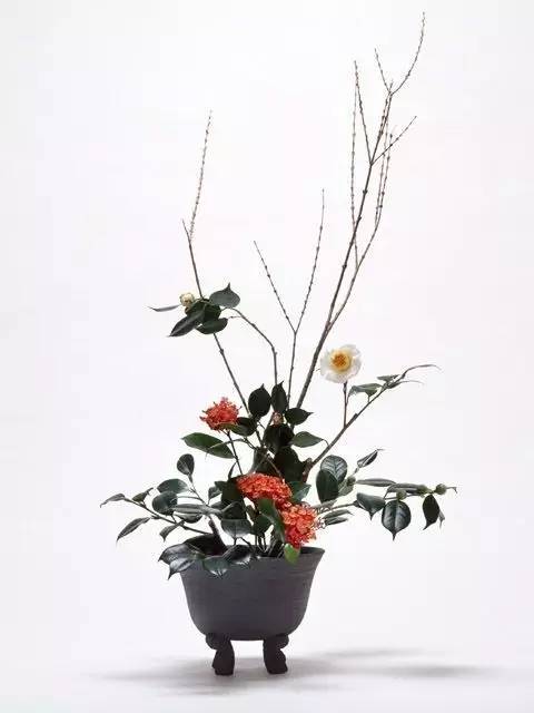 中國式花藝的質樸雅致