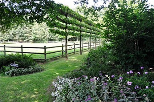 花園中的樹(shù)籬——園林中的植物“圍墻”