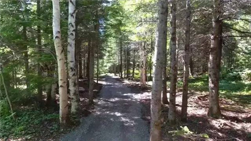 當景觀遇上科技，意想不到的效果發生了！