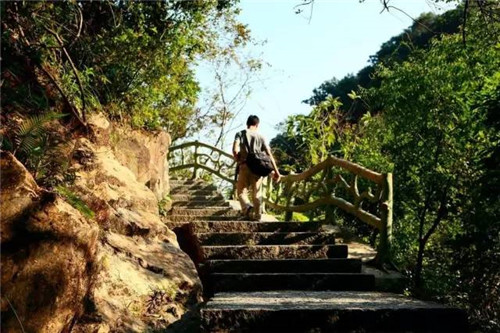 景區(qū)棧道多如牛毛,吸引游客才是王道