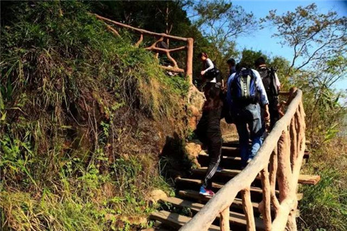 景區(qū)棧道多如牛毛，吸引游客才是王道