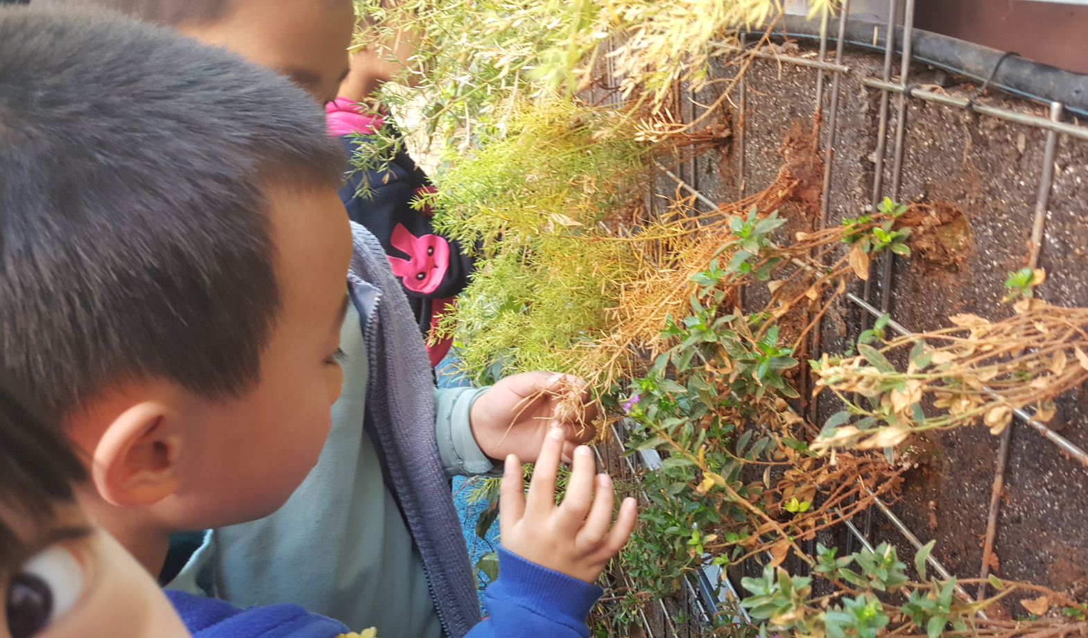 國際優秀設計師作品交流會吳昊演講實錄