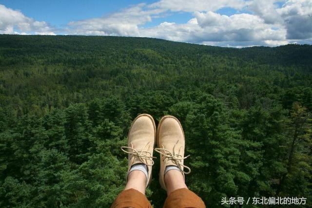 紅松的集中自然保護區——五營森林公園