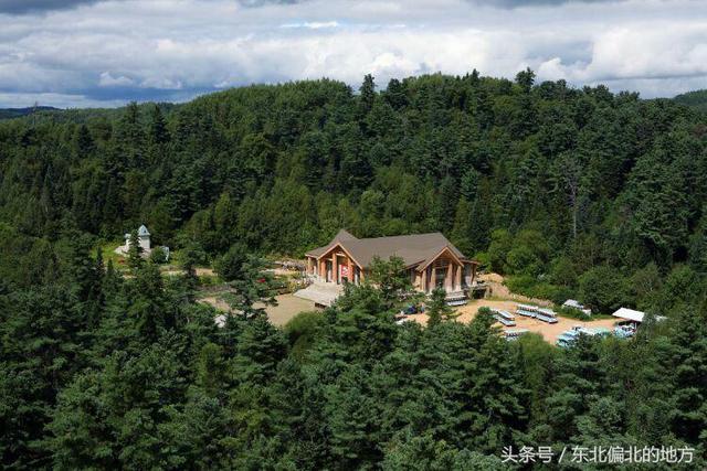 紅松的集中自然保護區——五營森林公園