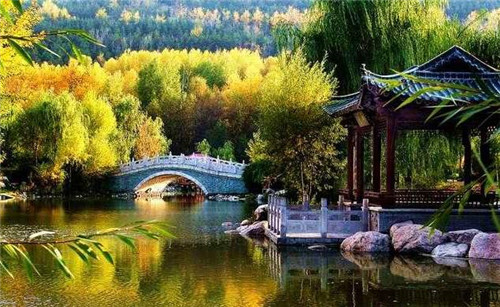 青海最美森林公園