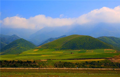 青海最美森林公園