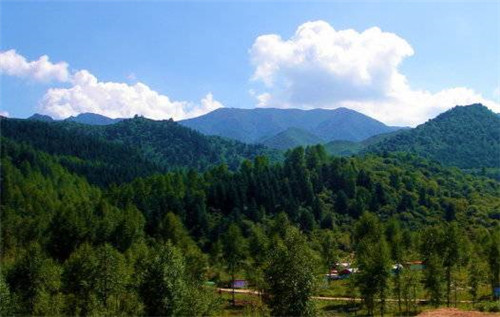 青海最美森林公園