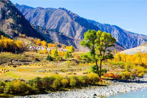 青海最美森林公園