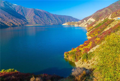 青海最美森林公園