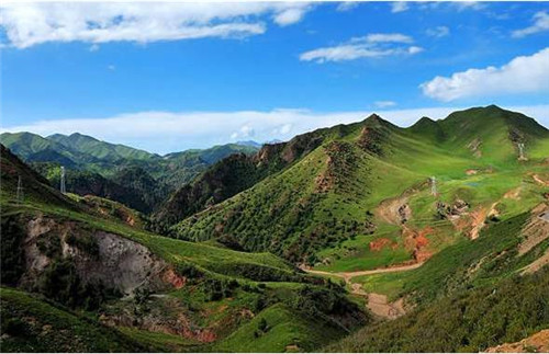 青海最美森林公園