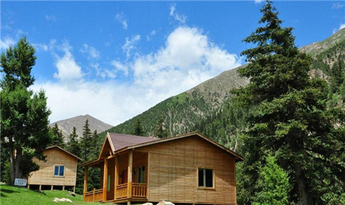 青海最美森林公園