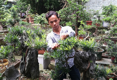 梅南珍:酷愛盆景藝術的城市邊沿人