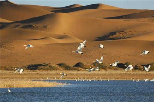 內蒙古七大國家地質公園