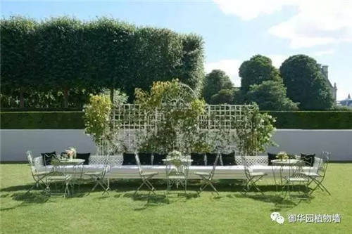 Dior70周年展，植物墻又出風(fēng)頭了！