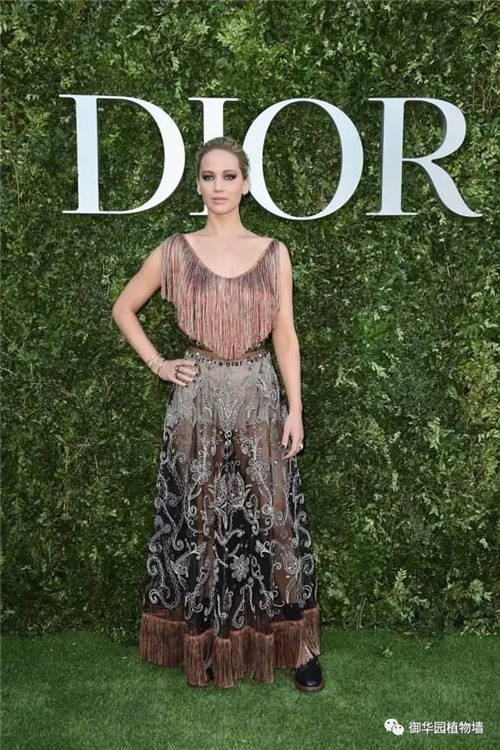 Dior70周年展，植物墻又出風(fēng)頭了！