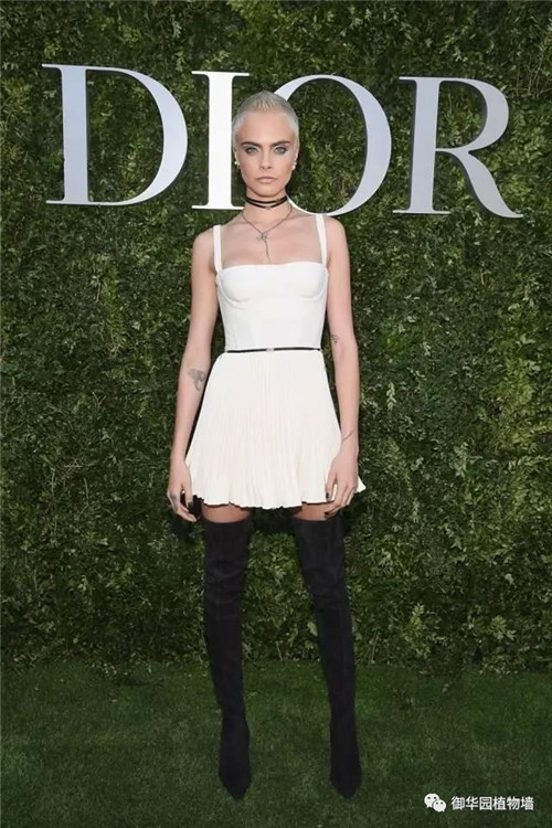 Dior70周年展，植物墻又出風頭了！