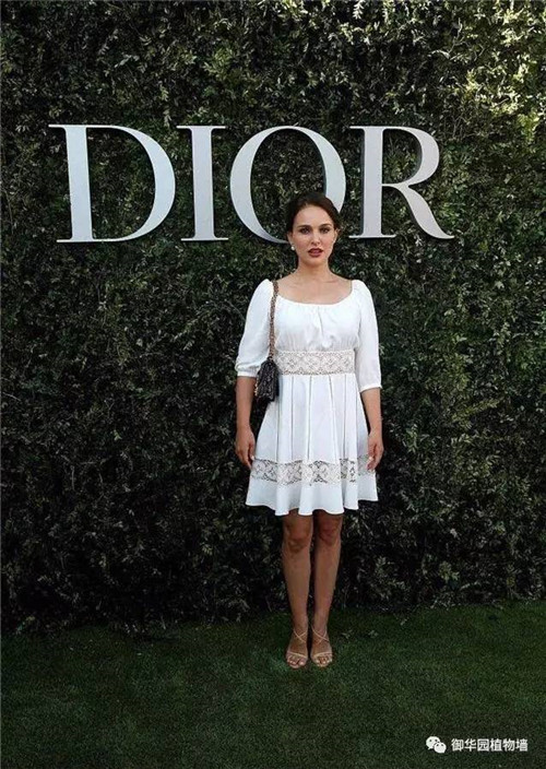 Dior70周年展，植物墻又出風頭了！