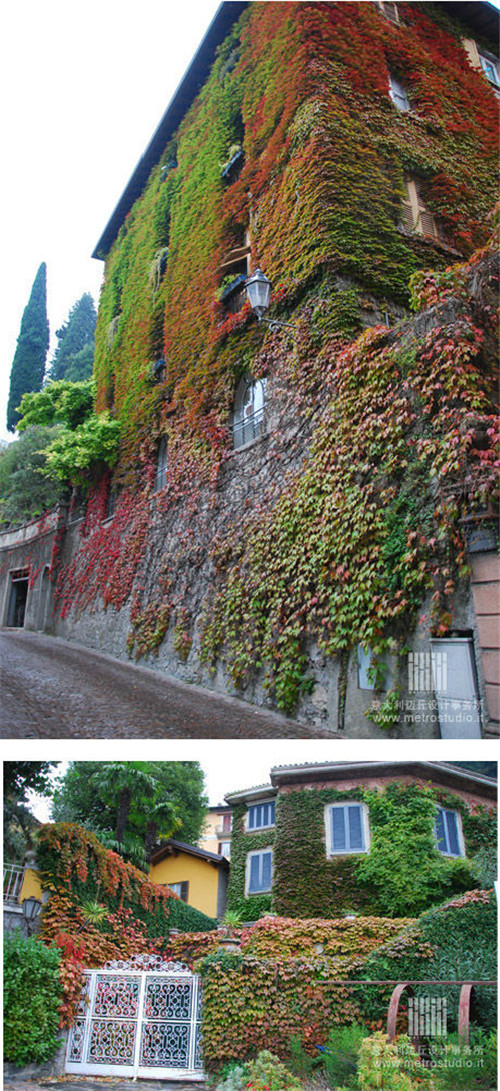 全球經(jīng)典的立體綠化案例