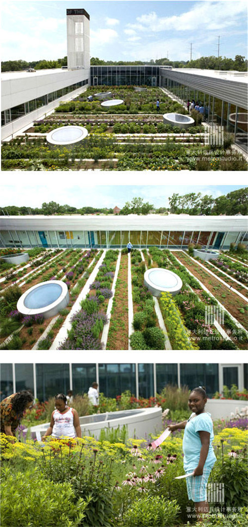 全球經典的立體綠化案例