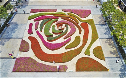 深圳將建成74個(gè)花漾街區(qū)和128個(gè)街心花園