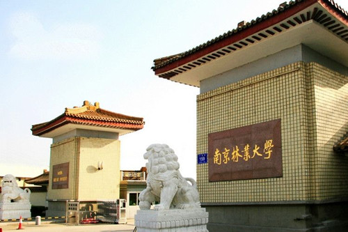 南林大文理科最高分均錄取在風(fēng)景園林專業(yè)