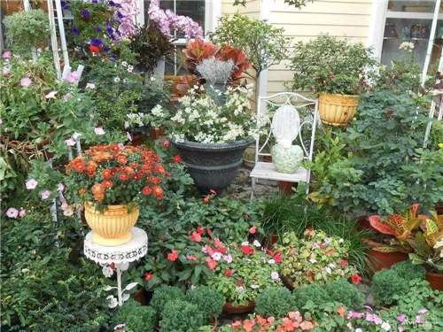 花卉特色小鎮:形成產業鏈尤為重要