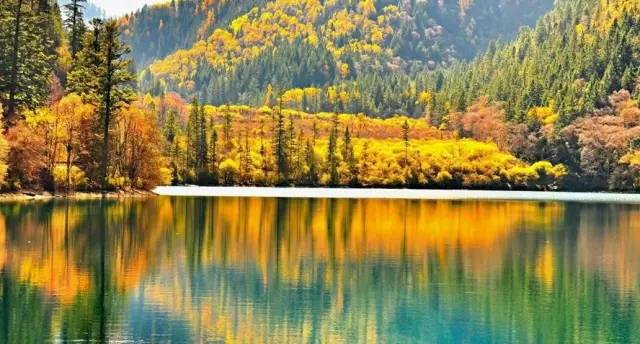 你知道如何種植苗木才能賺錢嗎?