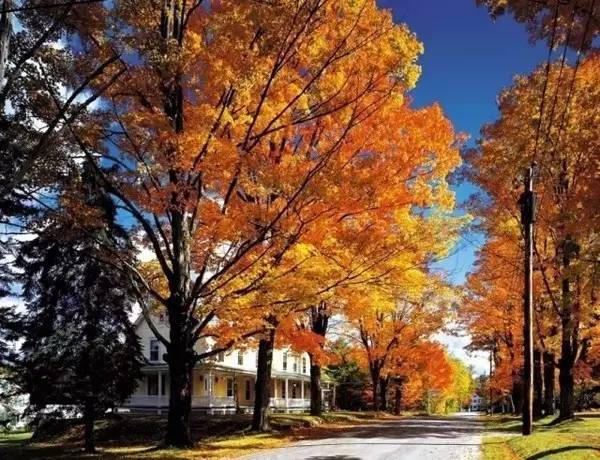 你知道如何種植苗木才能賺錢嗎?