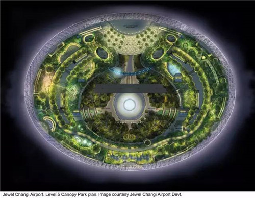 在飛機(jī)場里造了個森林，再也不怕飛機(jī)晚點(diǎn)