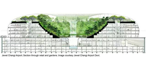 在飛機(jī)場里造了個森林，再也不怕飛機(jī)晚點(diǎn)