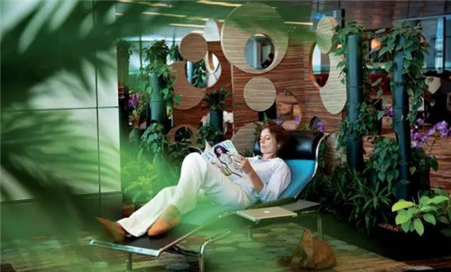 在飛機(jī)場里造了個森林，再也不怕飛機(jī)晚點(diǎn)