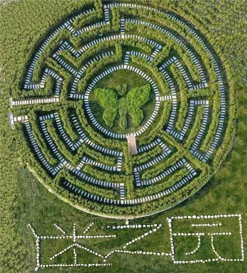 迷宮制造者腦子里在想什么?