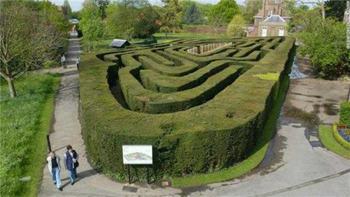 迷宮制造者腦子里在想什么?